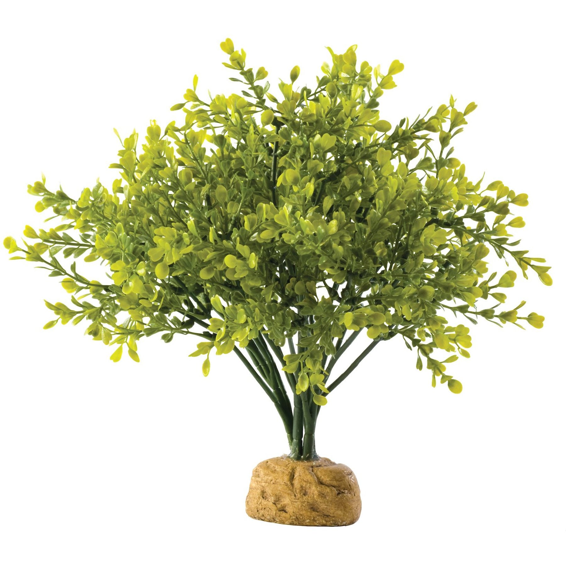 Exo Terra Boxwood Bush Reptile Terrarium Plant