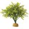 Show in main carousel: Exo Terra Boxwood Bush Reptile Terrarium Plant slide 1 of 1