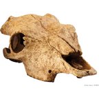 Exo Terra Buffalo Skull Terrarium Décor