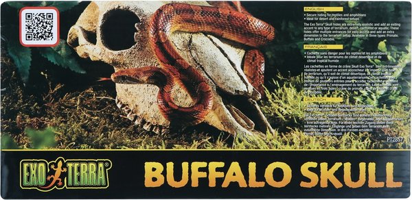 Exo Terra Buffalo Skull Terrarium Décor
