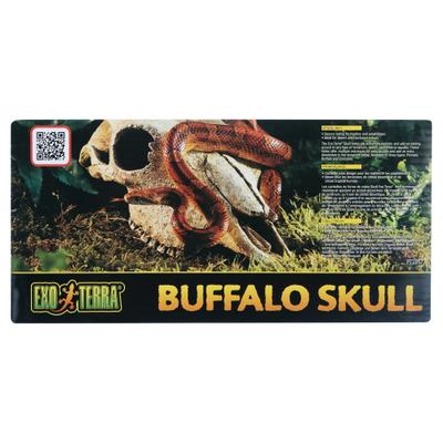 Show full view: Exo Terra Buffalo Skull Terrarium Décor slide 7 of 10