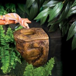 Exo Terra Canopy Worm Dish slide 2 of 2