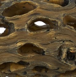 Exo Terra Cholla Cactus Skeleton Reptile Terrarium Plant, Small slide 2 of 4