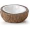 Show in main carousel: Exo Terra Coconut Reptile Water Dish slide 1 of 6