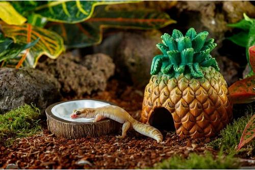 Show full view: Exo Terra Coconut Reptile Water Dish slide 5 of 6