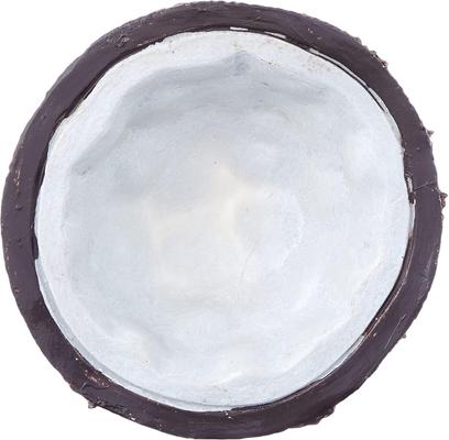 Show full view: Exo Terra Coconut Reptile Water Dish slide 3 of 6