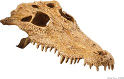 Exo Terra Croc Skull Repile Terrarium Decor slide 1 of 6