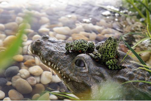 Show full view: Exo Terra Croc-Turtle Island Reptile Terrarium Ornament slide 2 of 2