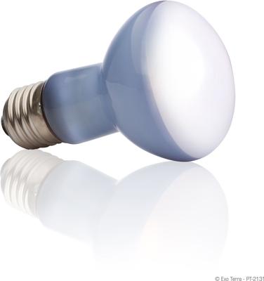 Show full view: Exo Terra Daylight Basking Reptile Spot Lamp, 50-w bulb slide 2 of 5