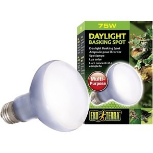 Exo Terra Daylight Basking Reptile Spot Lamp, 75-w bulb, bundle of 3