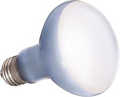 Exo Terra Daylight Basking Reptile Spot Lamp, 75-w bulb slide 2 of 4