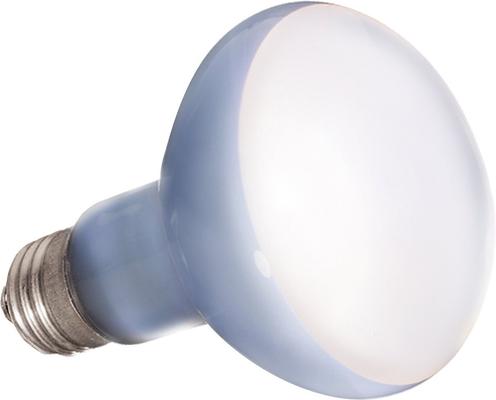 Show full view: Exo Terra Daylight Basking Reptile Spot Lamp, 75-w bulb slide 2 of 6