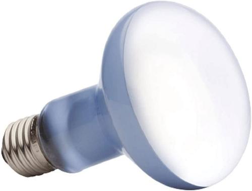 Show full view: Exo Terra Daylight Basking Reptile Spot Lamp, 75-w bulb slide 4 of 6