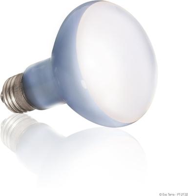 Show full view: Exo Terra Daylight Basking Reptile Spot Lamp, 75-w bulb slide 3 of 6