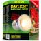 Show in main carousel: Exo Terra Daylight Reptile Basking Spot, Nano, 25-watts slide 1 of 1