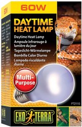 Exo Terra Daytime Heat Reptile Lamp, 60-w bulb