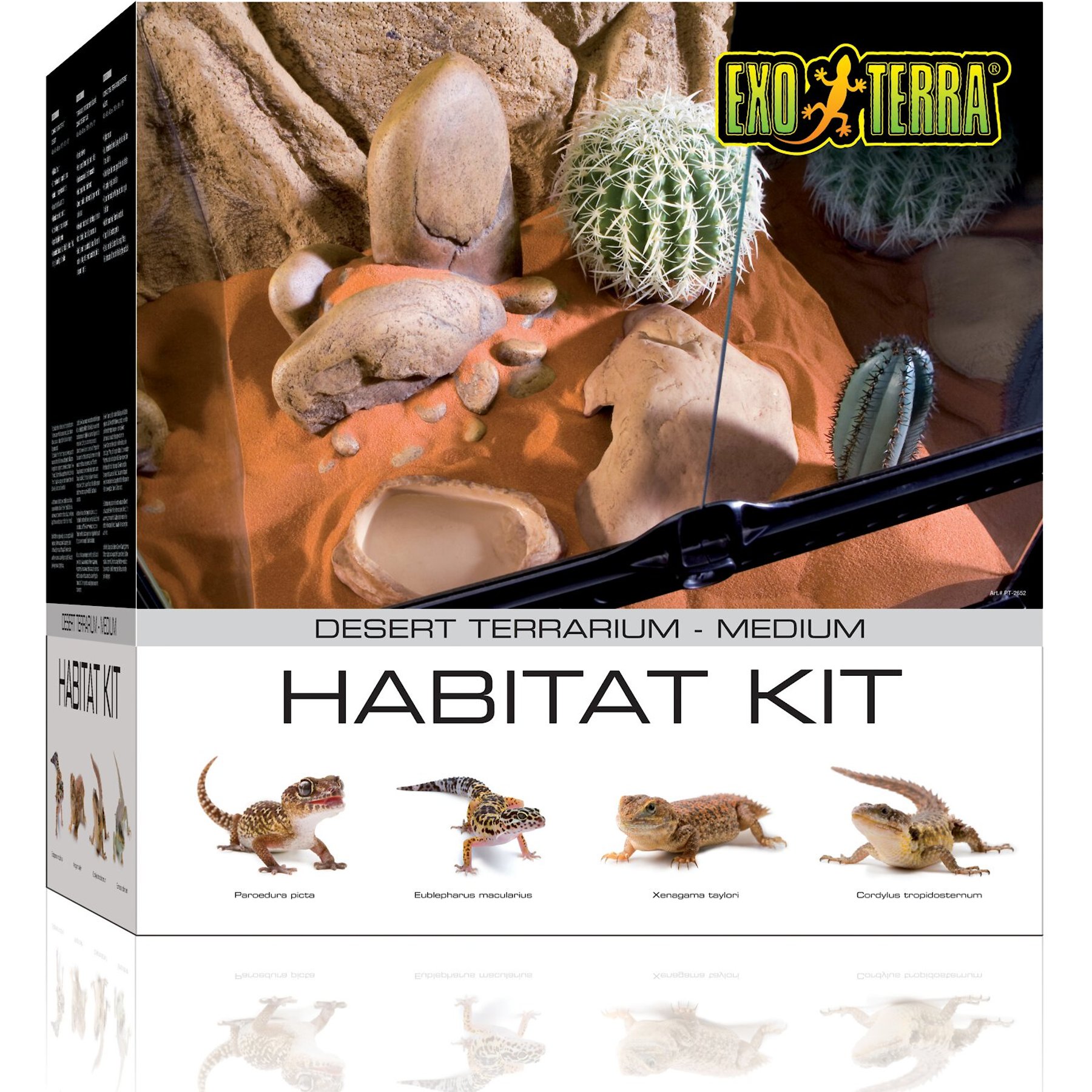 Exo Terra Desert Habitat Repile Kit, Medium