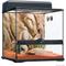 Show in main carousel: Exo Terra Desert Habitat Repile Kit, Medium slide 2 of 6