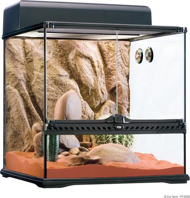 Show full view: Exo Terra Desert Habitat Repile Kit, Medium slide 2 of 6