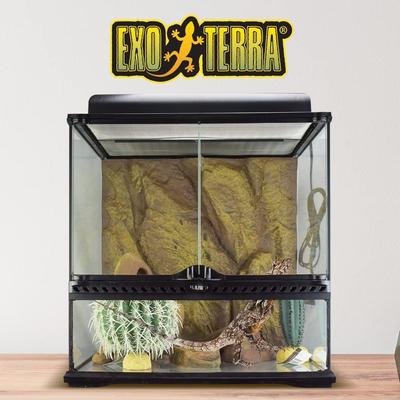 Show full view: Exo Terra Desert Habitat Repile Kit, Medium slide 6 of 6