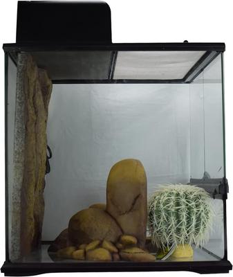 Show full view: Exo Terra Desert Habitat Repile Kit, Medium slide 4 of 6