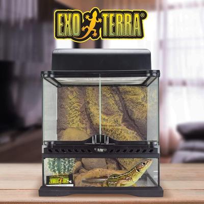 Show full view: Exo Terra Desert Habitat Repile Kit, Small slide 7 of 9