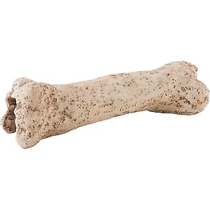 Exo Terra Dinosaur Bone Reptile Terrarium Ormament