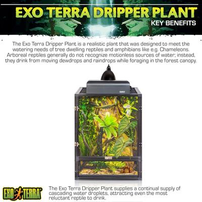 Show full view: Exo Terra Dripping Reptile Plant, Small slide 4 of 10