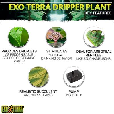 Show full view: Exo Terra Dripping Reptile Plant, Small slide 3 of 10