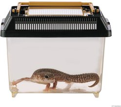 Exo Terra Faunarium Terrarium, Mini slide 2 of 4