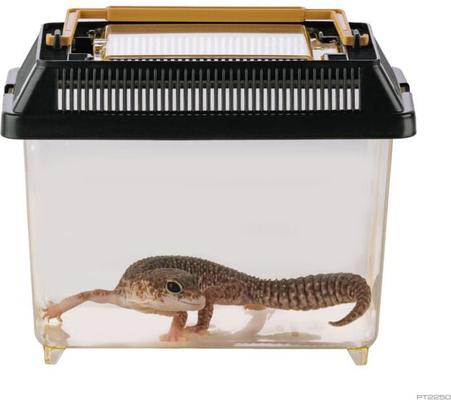 Show full view: Exo Terra Faunarium Terrarium, Mini slide 4 of 5