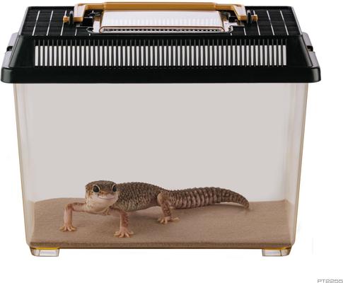 Show full view: Exo Terra Faunarium Terrarium, Small slide 4 of 5