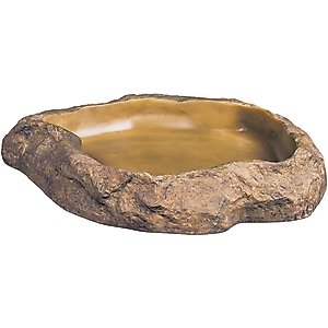 Exo Terra Feeding Dish, Medium