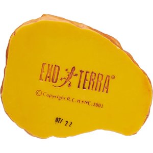 Exo Terra Feeding Dish, Medium