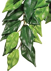 Exo Terra Ficus Silk Plant, Large
