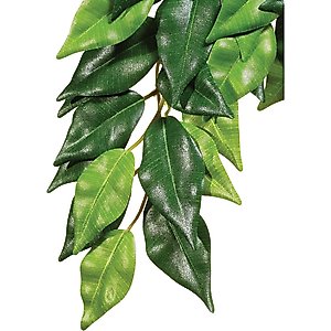 Exo Terra Ficus Silk Plant, Medium