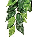 Exo Terra Ficus Silk Plant, Medium