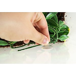 Exo Terra Ficus Silk Plant, Medium