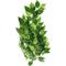Show in main carousel: Exo Terra Ficus Silk Plant, Medium slide 2 of 5