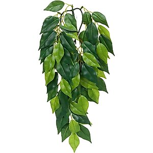 Exo Terra Ficus Silk Plant, Medium