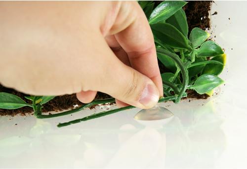 Show full view: Exo Terra Ficus Silk Plant, Small slide 4 of 5