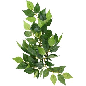 Exo Terra Ficus Silk Plant, Small