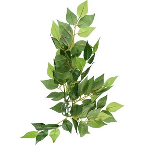 Exo Terra Ficus Silk Plant, Small