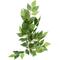 Show in main carousel: Exo Terra Ficus Silk Plant, Small slide 3 of 5