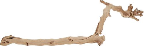 Show full view: Exo Terra Forest Branch, Large slide 2 of 6