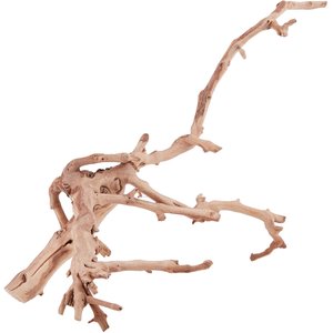 Exo Terra Forest Branch, Medium