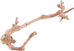 Exo Terra Forest Branch, Small