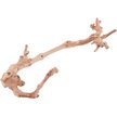 Show in main carousel: Exo Terra Forest Branch, Small slide 1 of 4