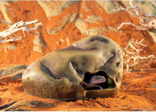 Show full view: Exo Terra Gecko Cave for Reptiles, Large slide 3 of 5