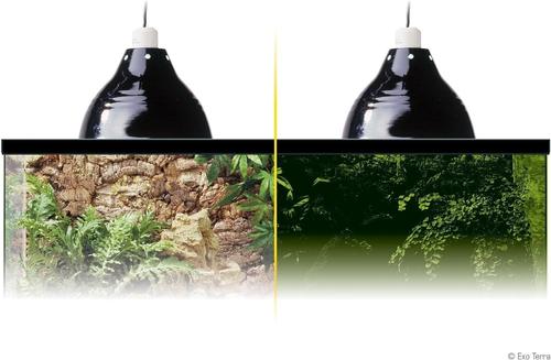 Show full view: Exo Terra Glow Light Porcelain Reptile Terrarium Lamp, 5.5-in slide 5 of 6